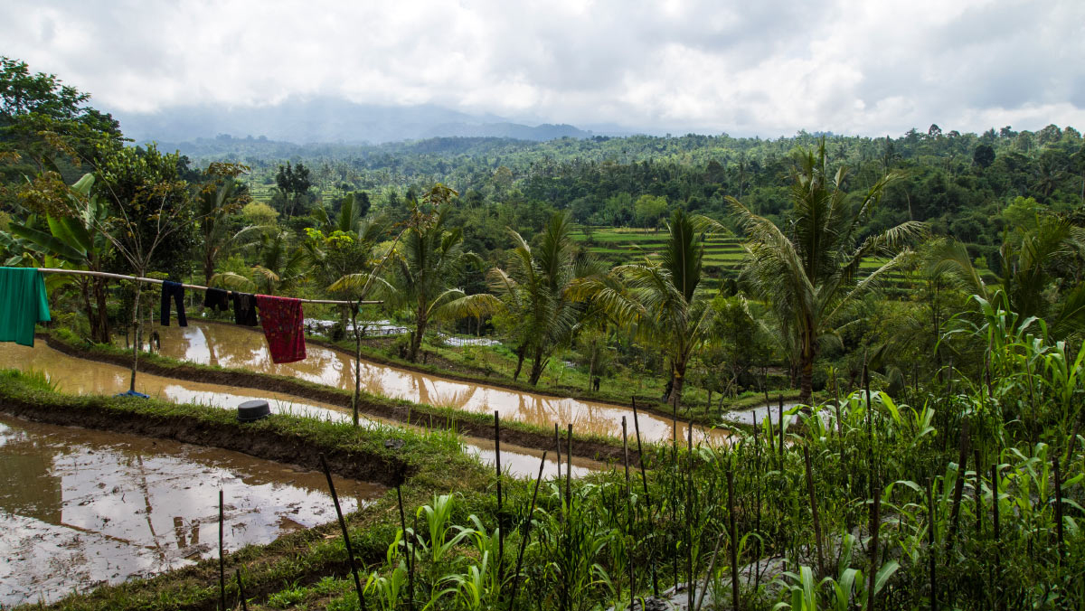 Lombok Indonesien Urlaub Natur Tetebatu