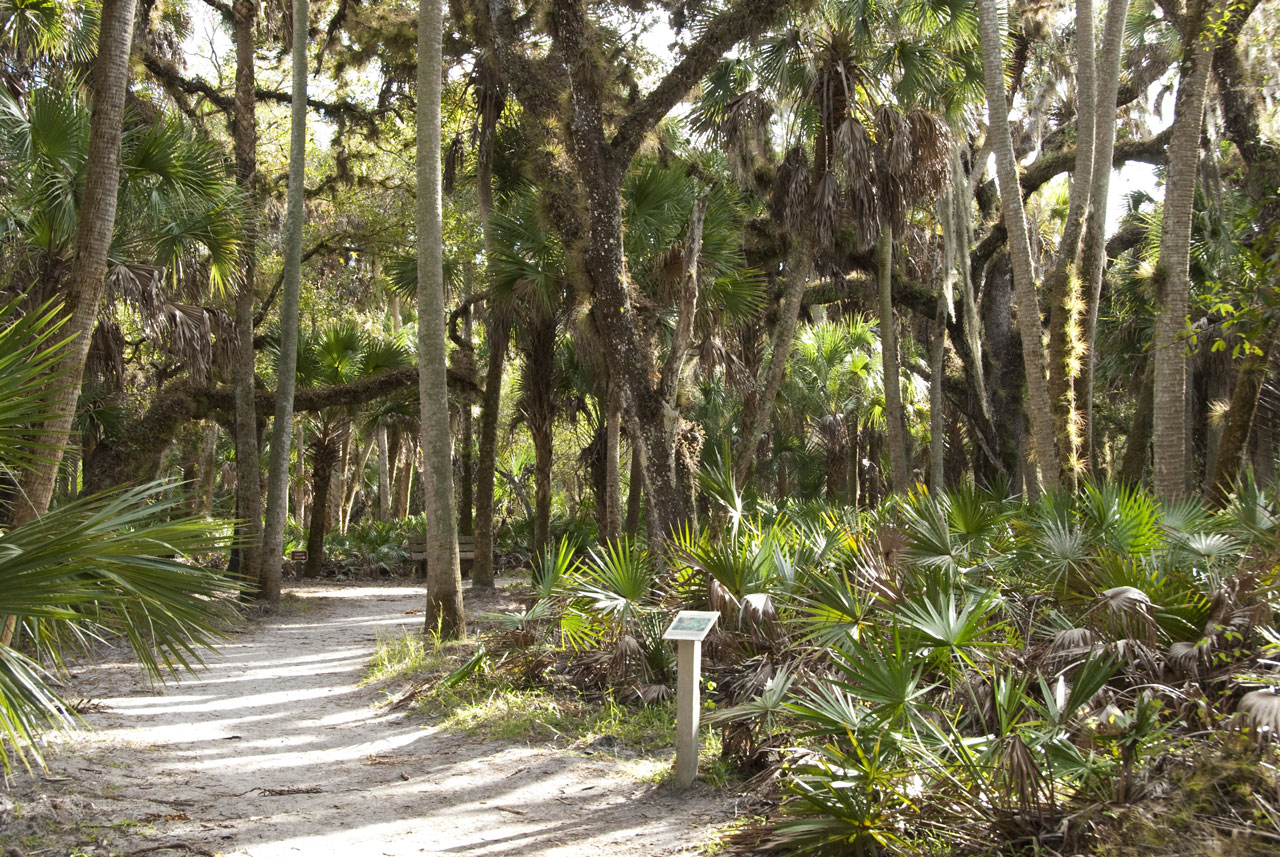 Sarasota Sehenswürdigkeiten Myakka River State Park