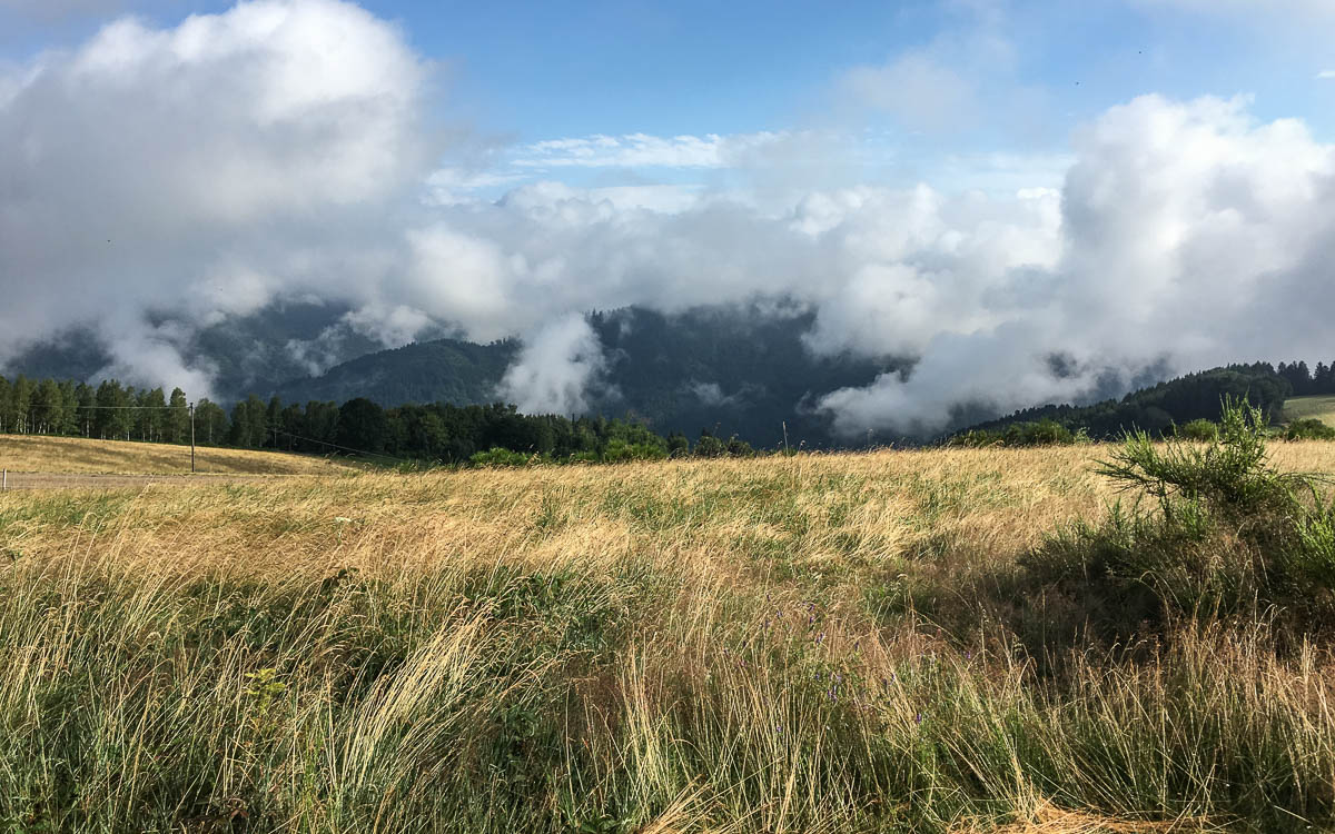 Ausblick vom Grubhof im Schwarzwald
