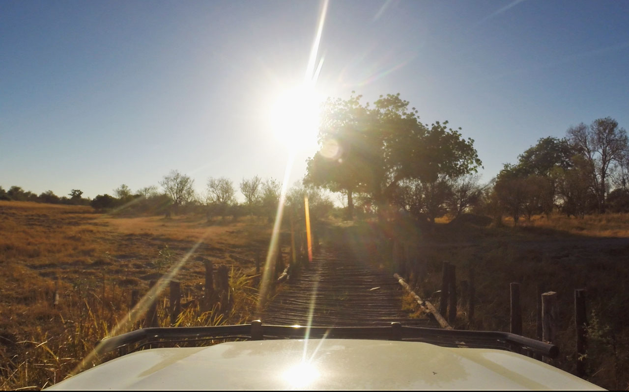 autofahren-botswana-bruecken-moremi
