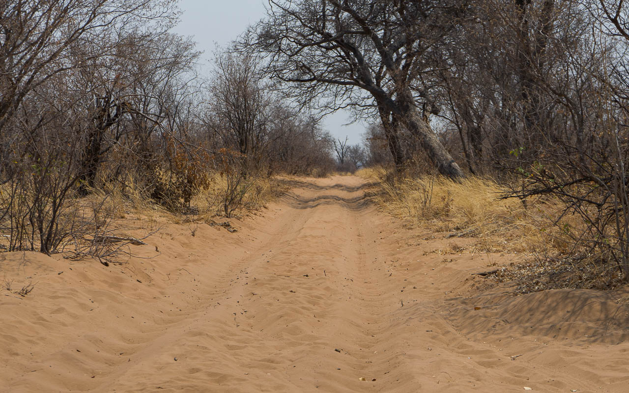 Autofahren Botswana Tipps Savuti Tiefsand