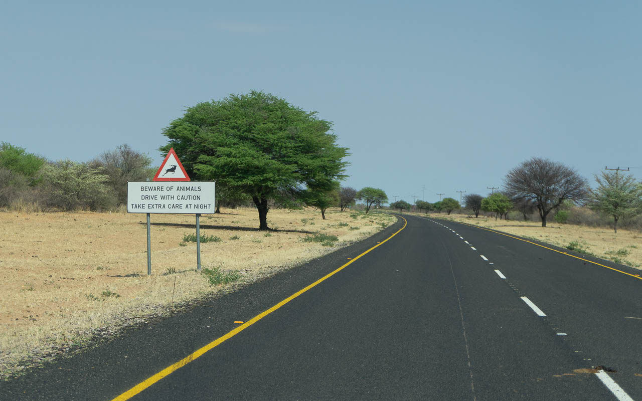 Autofahren Botswana Tipps Achtung Tiere