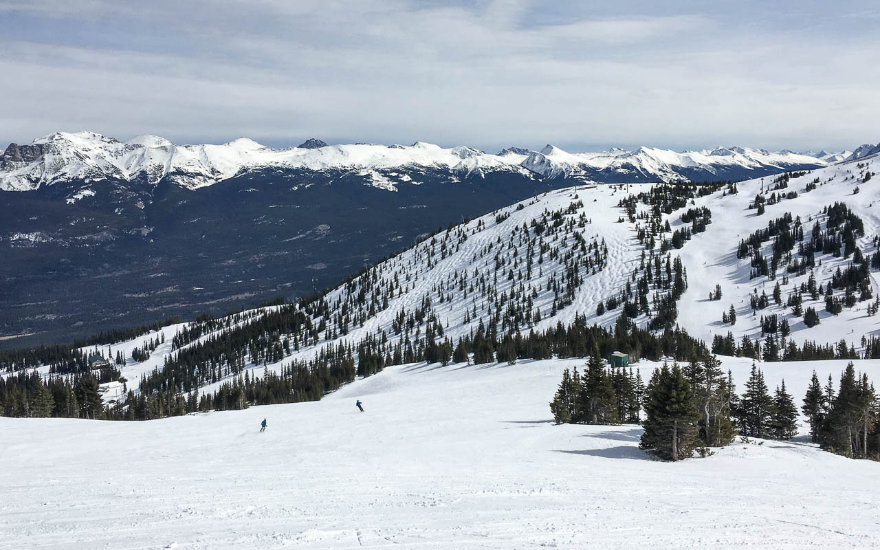 Skifahren Kanada Aussicht auf die Rockies - Marmot Basin