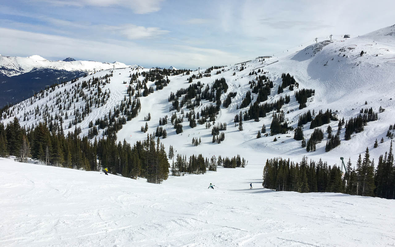 Skifahren Kanada Jasper Marmot Basin