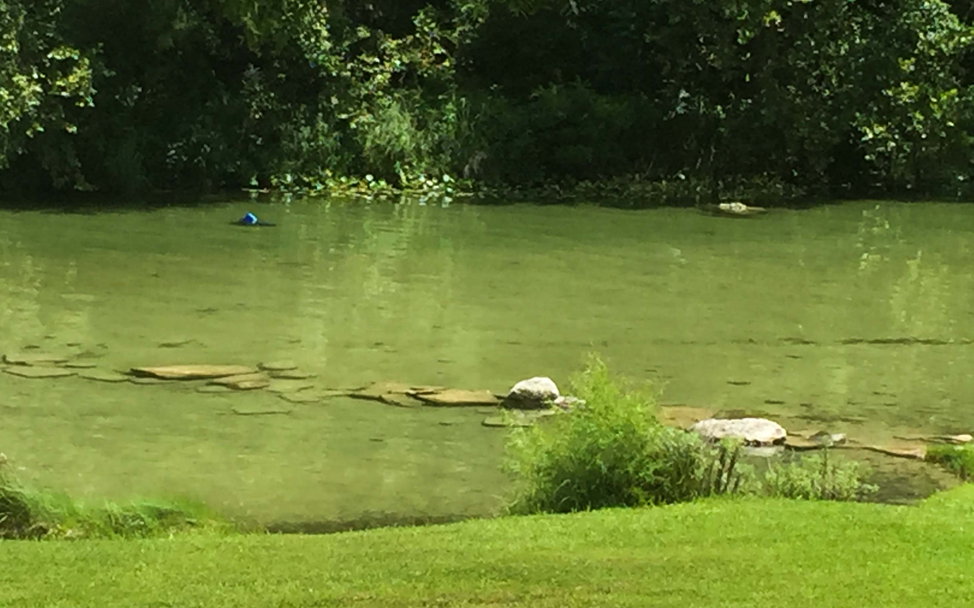 Austin Texas Tipps Guadalope River Fluss