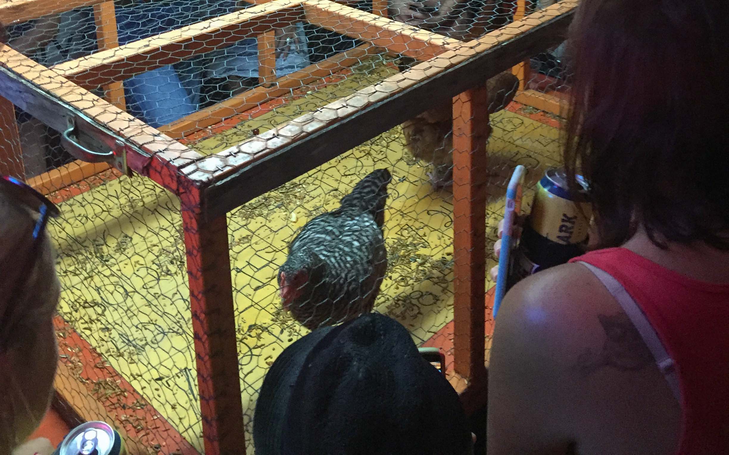 Austin Texas Tipps Little Longhorn Saloon