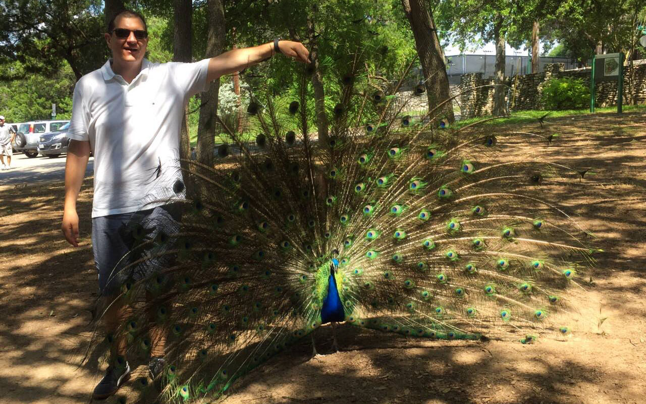 Austin Texas Tipps Pfauen