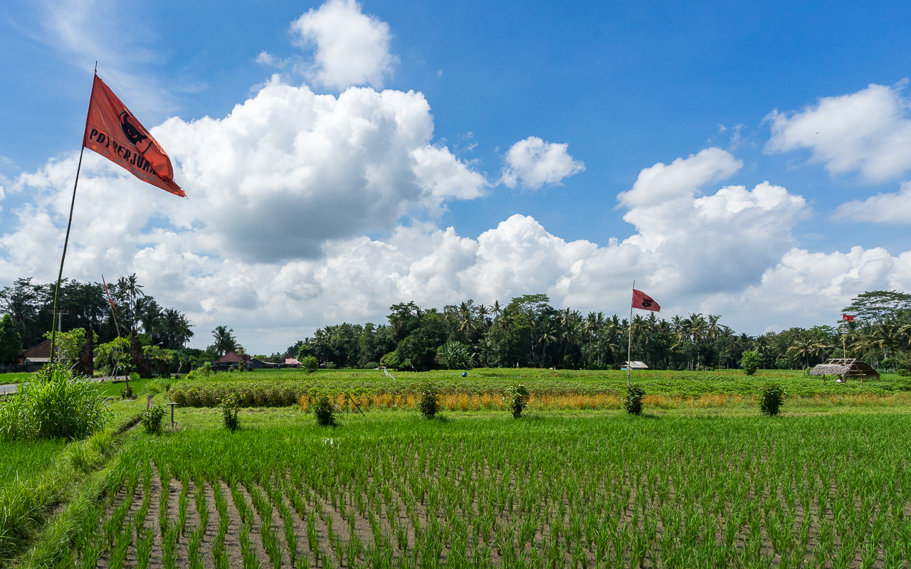 Beste Ausflüge um Ubud Reisfelder Mengwi
