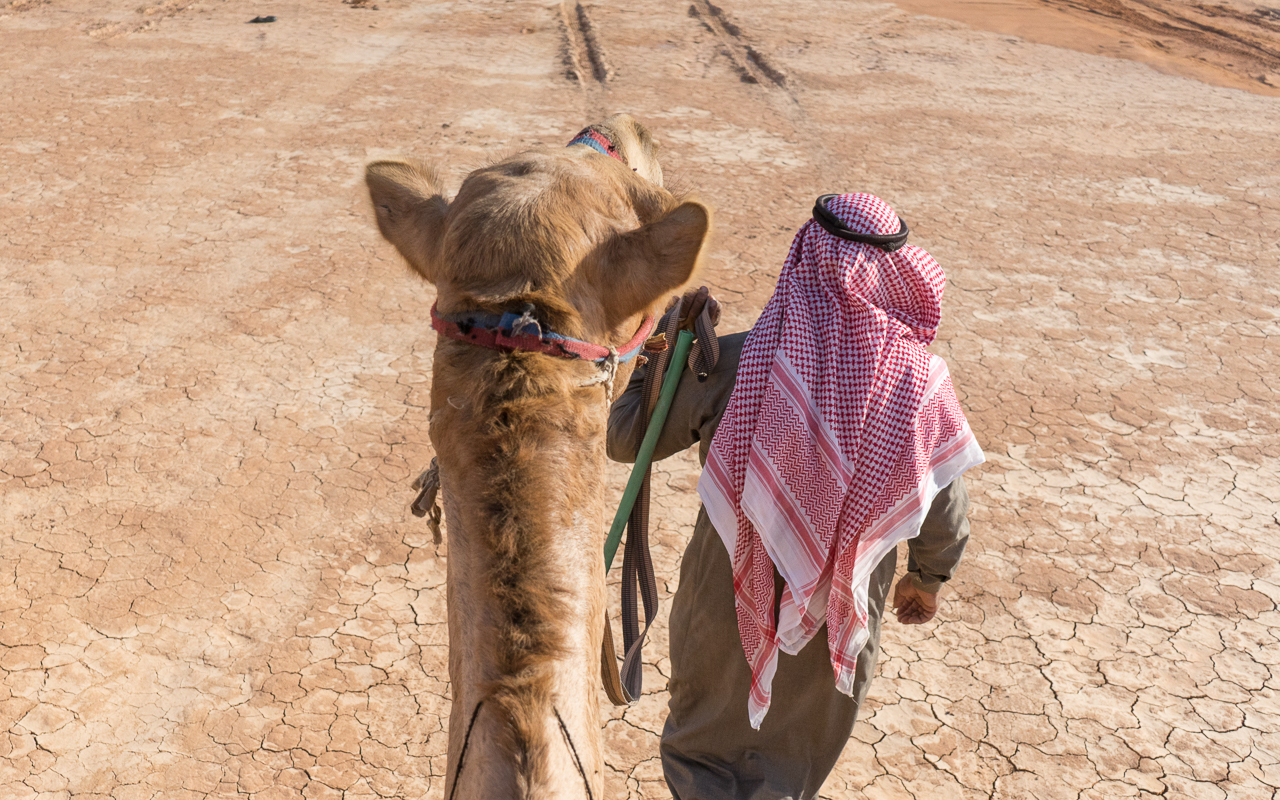 wadi-rum-kameltour