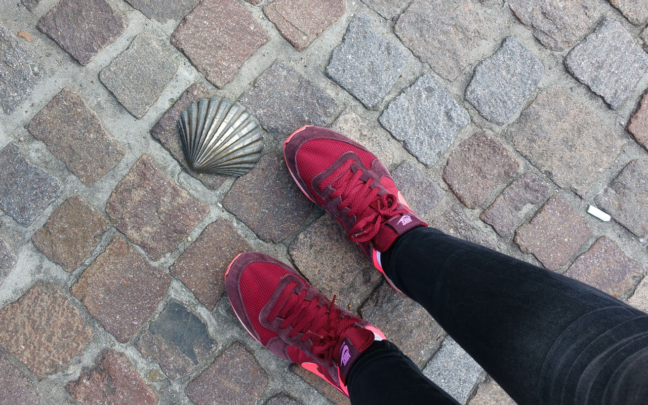 bruegge-tipps-jacobsmuschel