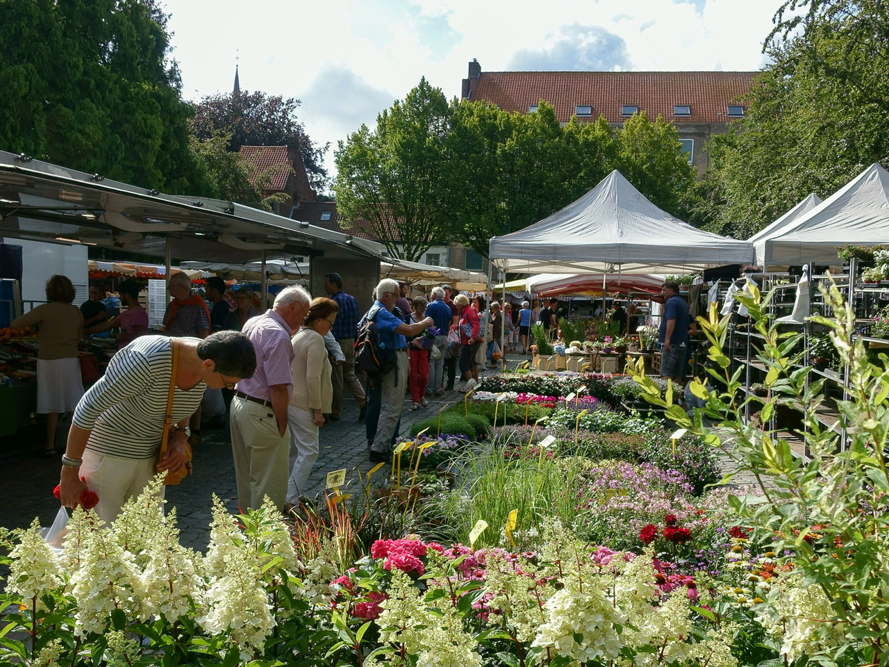 bruegge-tipps-markt-besuchen