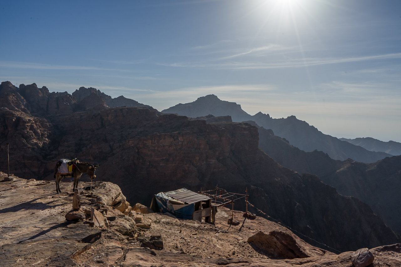Felsenstadt Petra Aussicht Esel