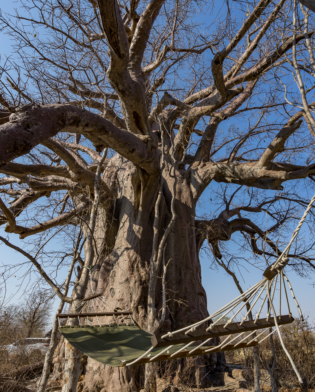 gweta-planet-baobab-zimmer-haengematte-2