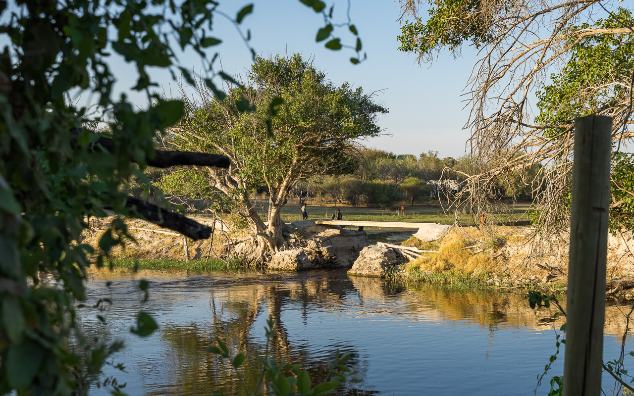 Old Bridge Backpackers Unterkunft Maun Botswana