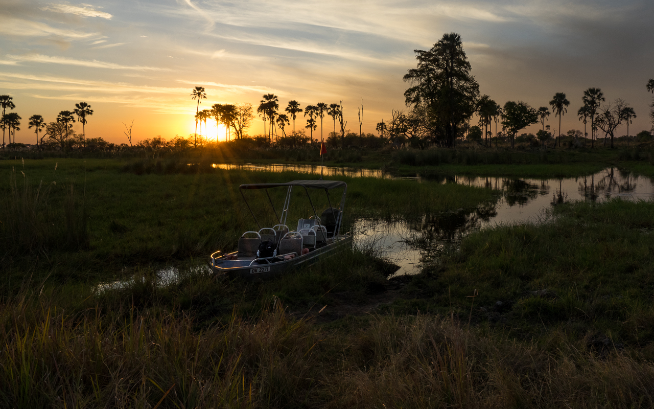 Okavango Delta Botswana Bootsfahrt zum Sonnenuntergang