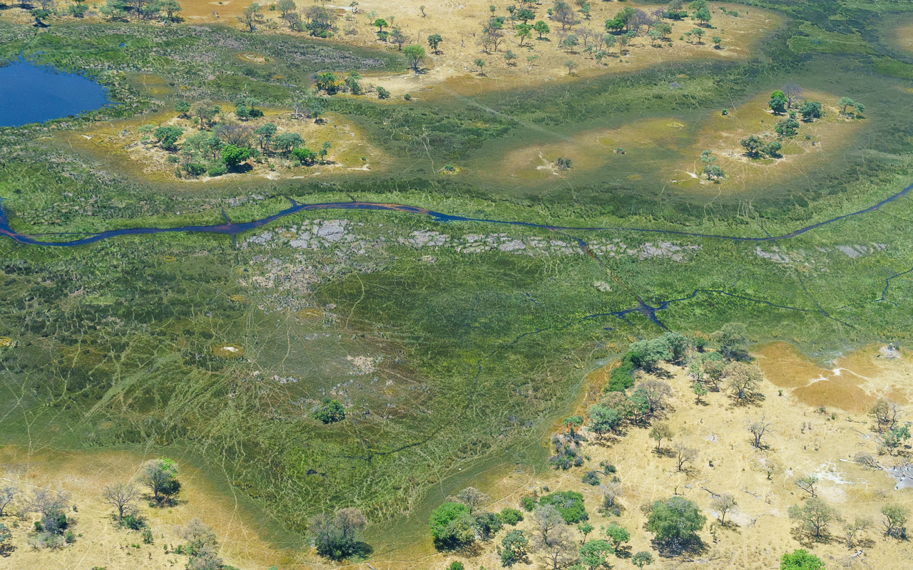 okavango-delta-flug-28