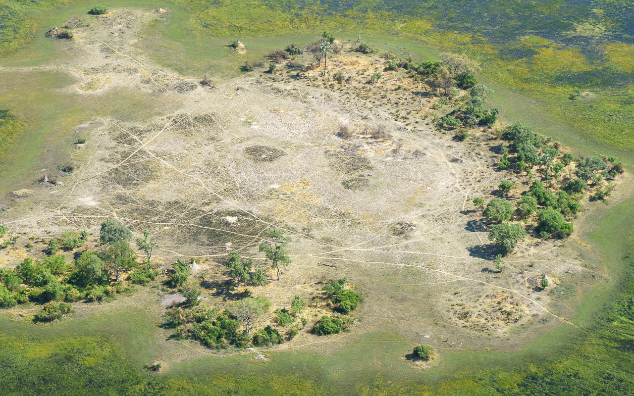 okavango-delta-flug-flyin-safari-20