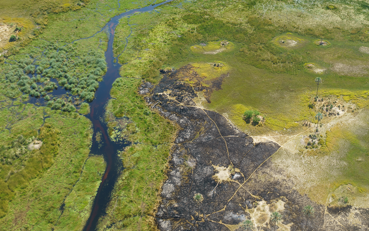 okavango-delta-flug-flyin-safari-6