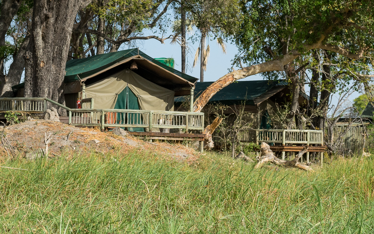 okavango-delta-gunns-camp-zelt-glamping