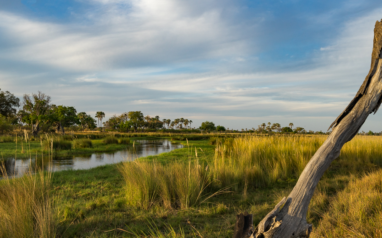 Wunderschönes Okavango Delta!