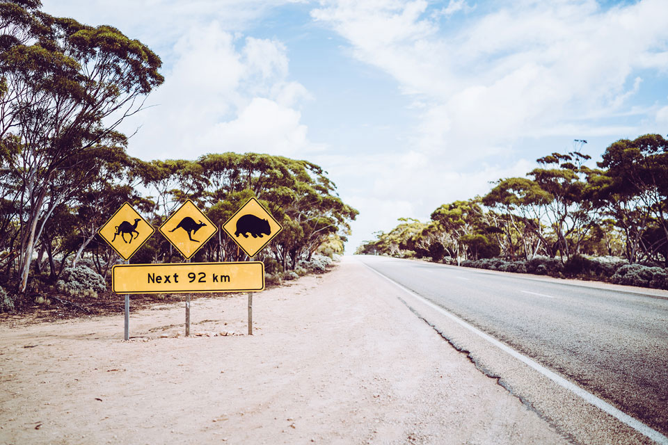 Australien Reisetipps Roadtrip Straßen Nullarbor