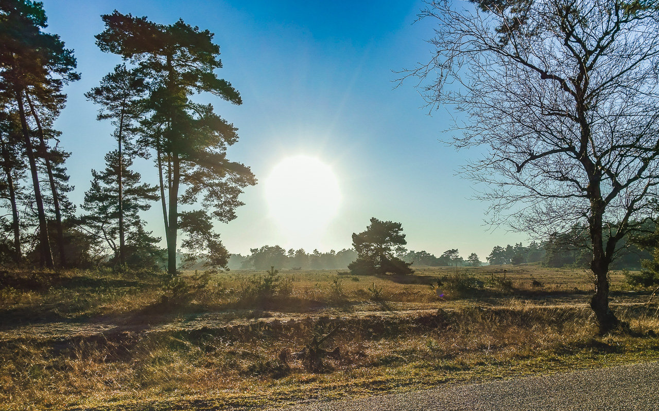 gelderland-nationalpark-de-hoge veluwe