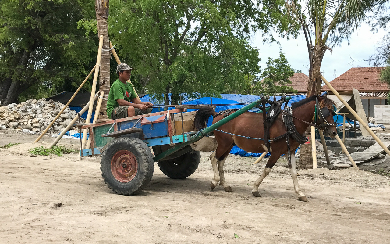 Gili Islands Gili Meno Pferdekutschen