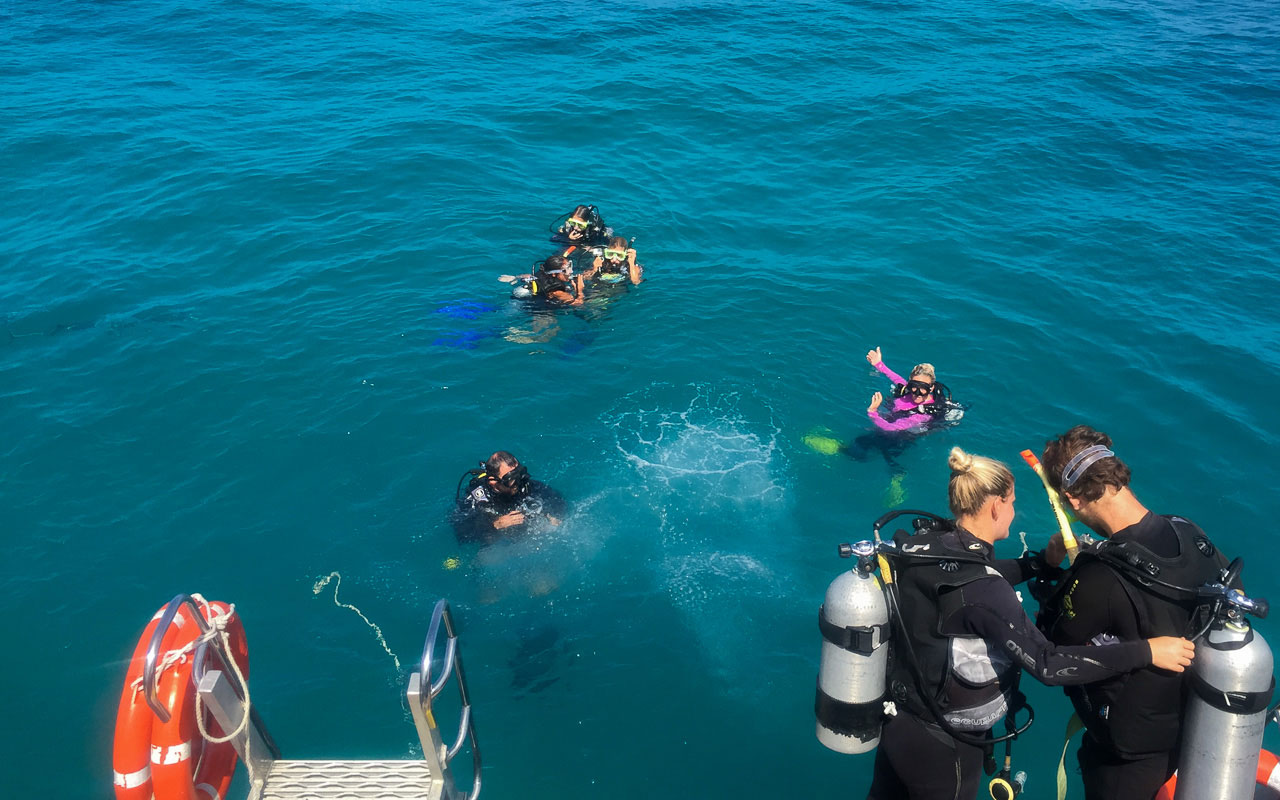 australien-ostkueste-great-barrier-reef-tauchen