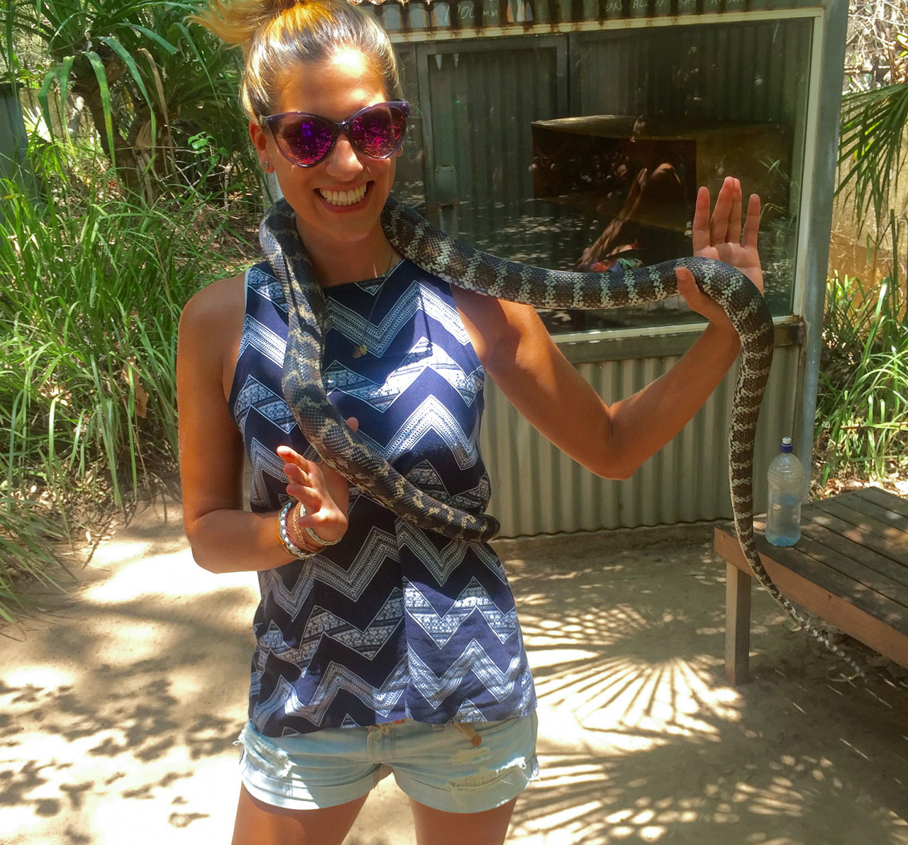 australien-ostkueste-magnetic-island-bungalow-bay-koala-village-schlange