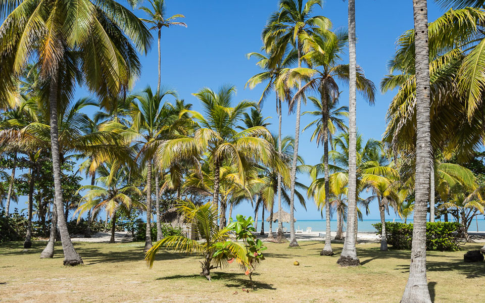 Gartenanlage Hukumeizi Hotel Palomino Kolumbien