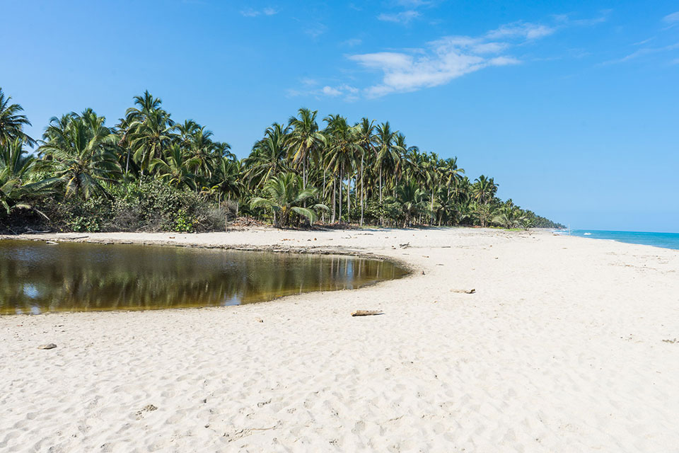 Palomino Fluss trifft auf Meer