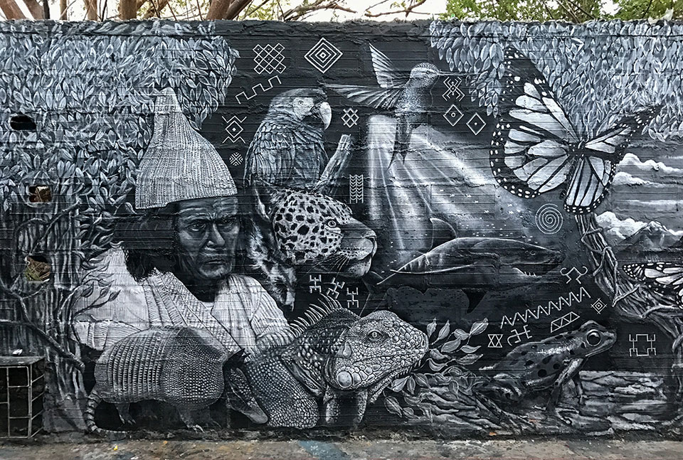 Street Art in der Altstadt von Santa Marta