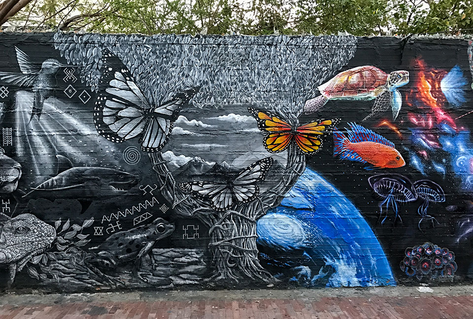 Street Art in Kolumbien - auch Santa Marta hat das zu bieten