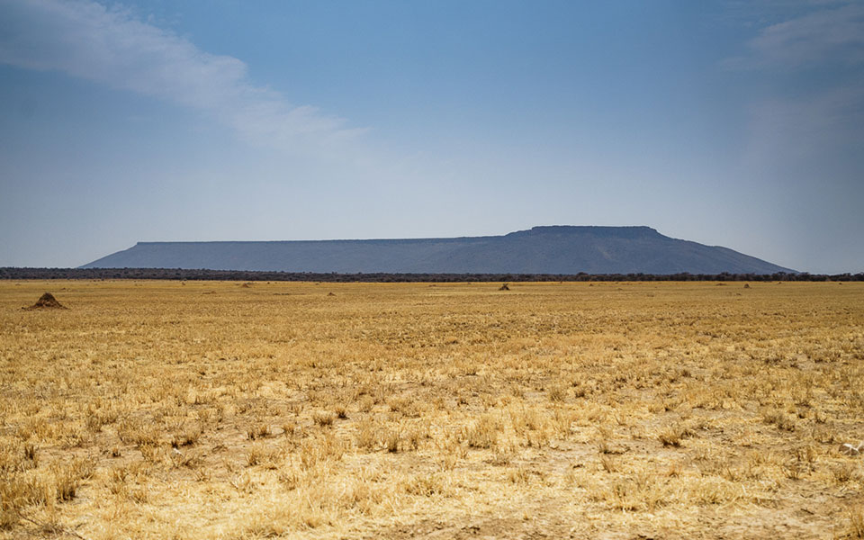 Blick auf den Tafelberg Namibias: Waterberg Plateau Park mit seiner reichhaltigen Tier- und Pflanzenwelt in Namibia