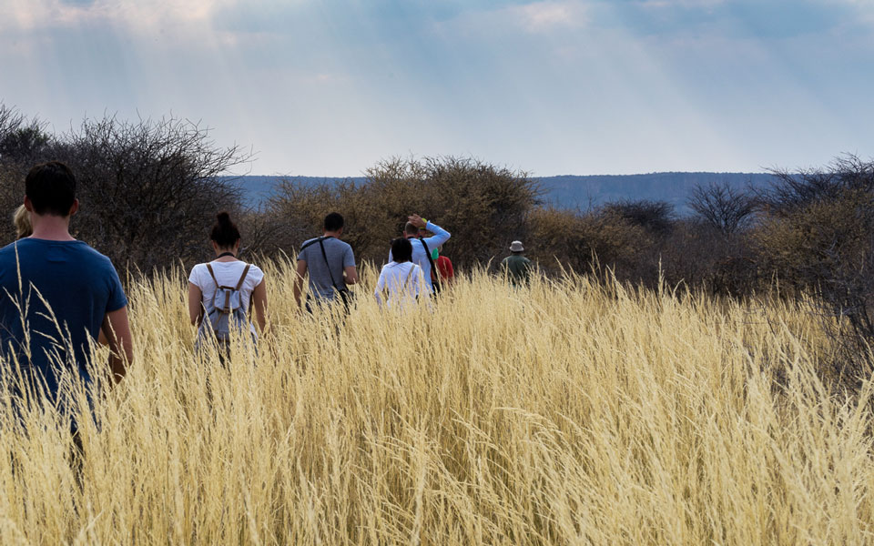 Waterberg Plateau Rhino Drive zu Fuss durch Savanne
