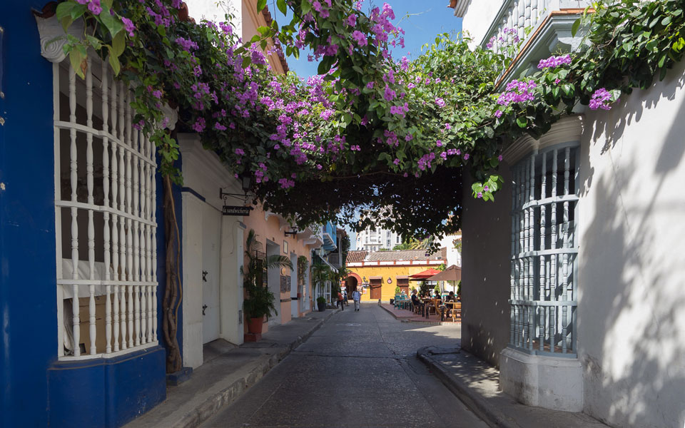 bunte-blumen-schoene-plaetze-cartagena-kolumbien