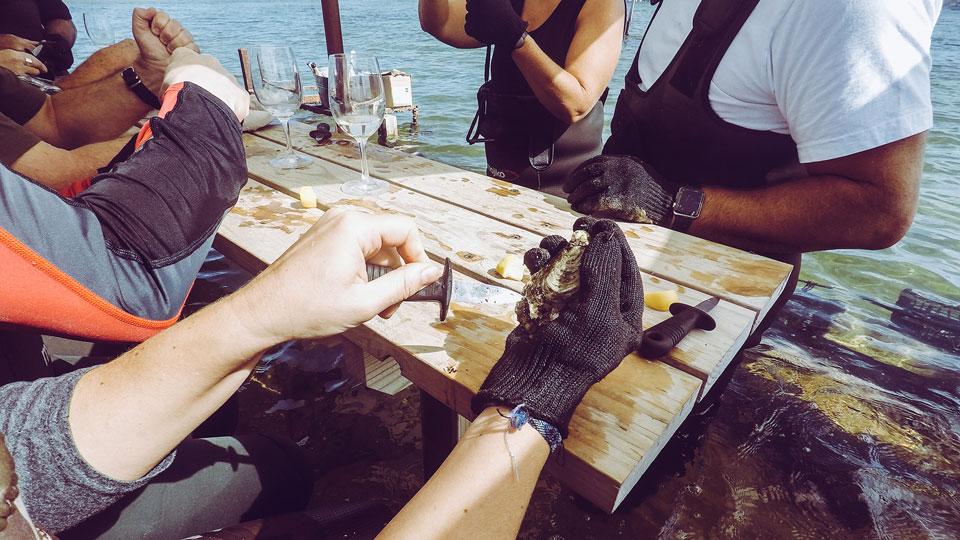 Austern öffnen Coffin Bay