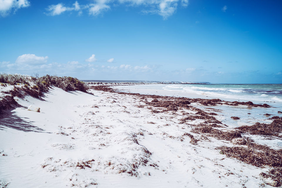 Eucla Beach Australien