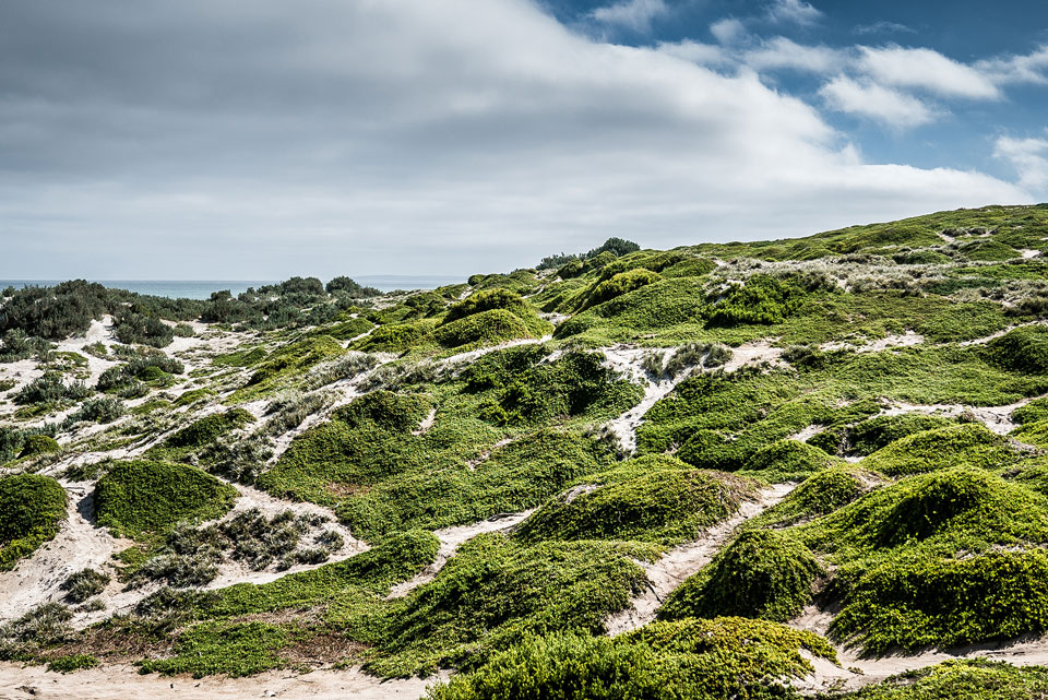 Seal Bay Kangaroo Island Natur traumhaft