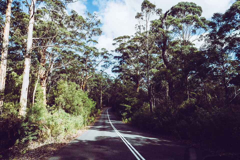 Fahrt Albany nach Margaret River