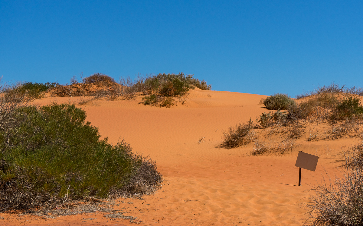Rote Sanddünen Francois Peron National Park Westaustralien