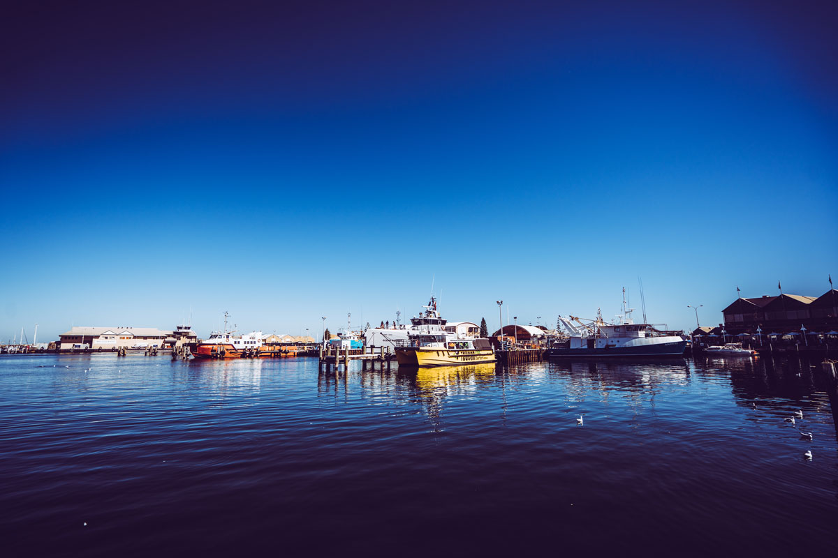 little-creatures-brewery-fremantle