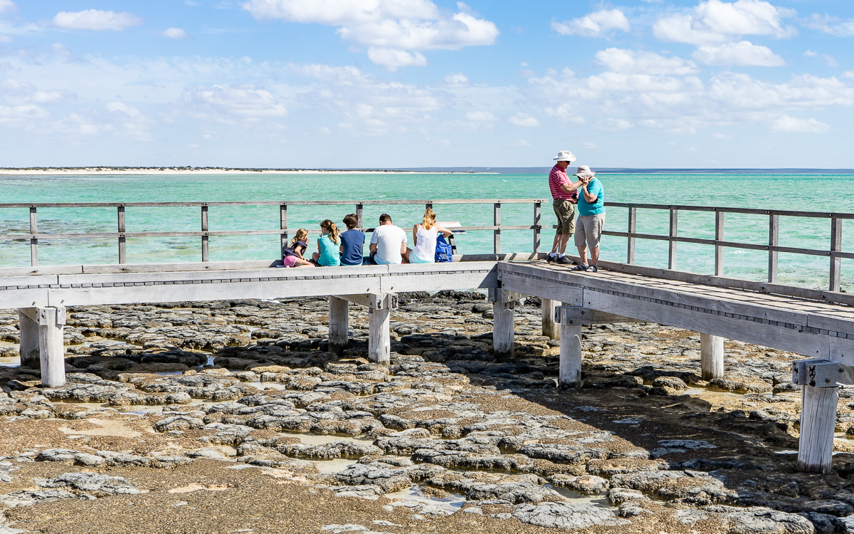 Hamelin Pool Stromatolithen Westküste Australien