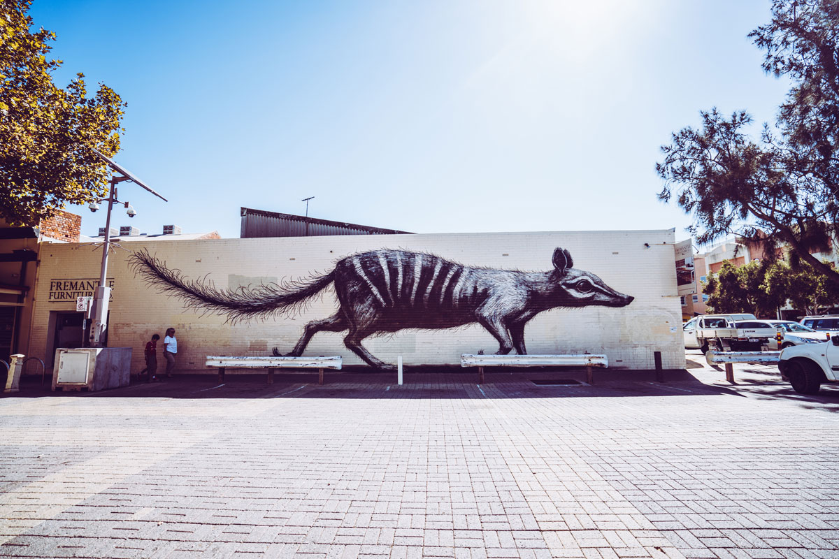 Fremantle ROA Street Art