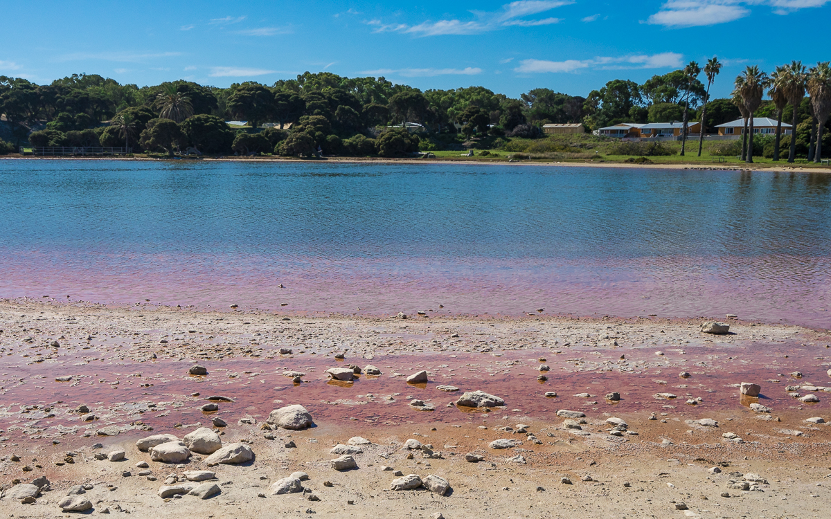 rottnest-island-australien-21