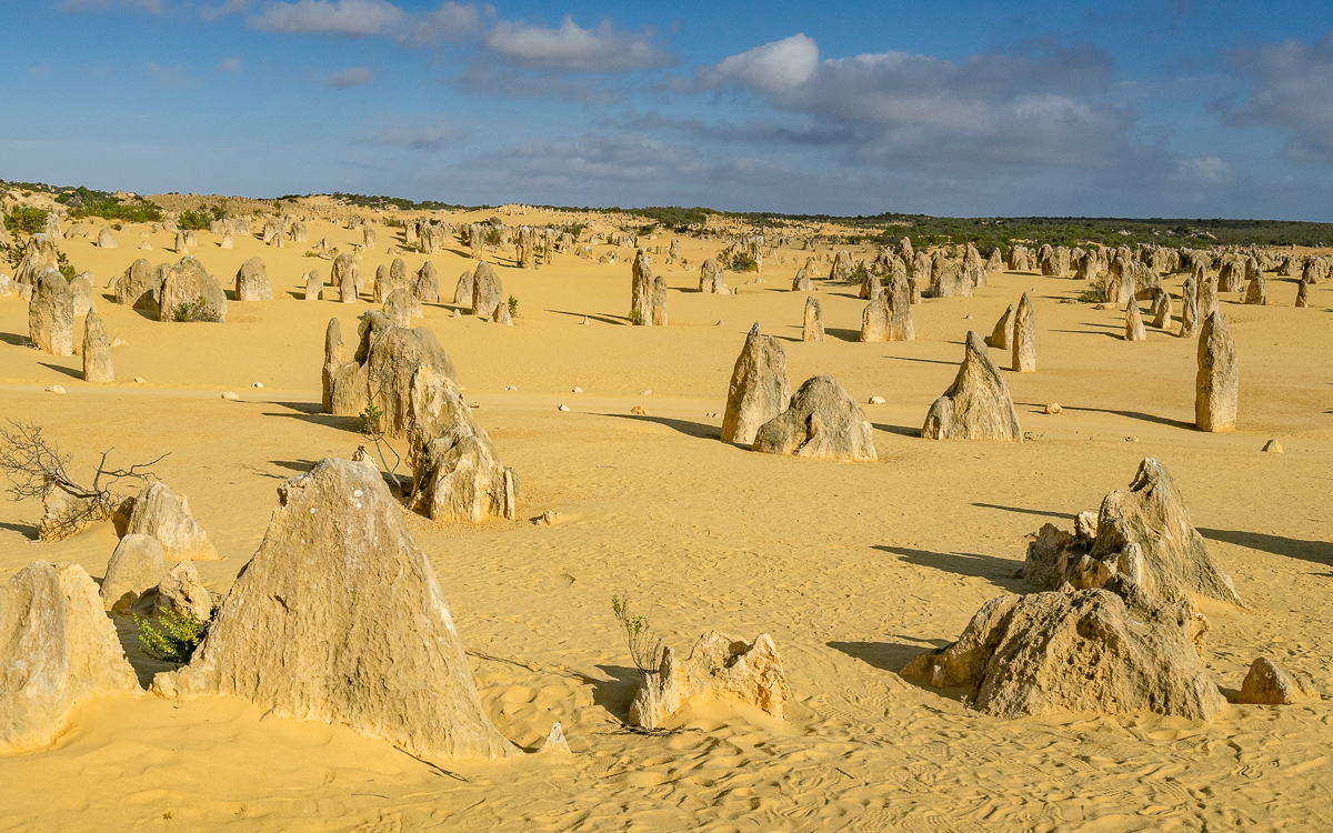 The Pinnacles Nambung NP