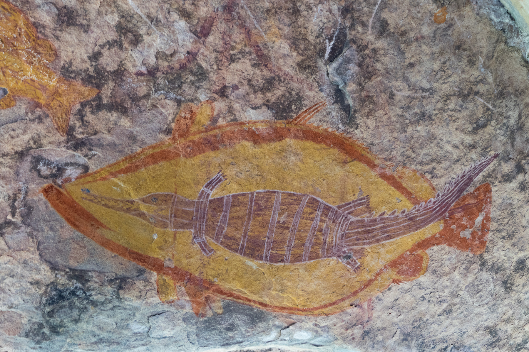 Arnhemland Rock Painging Australien
