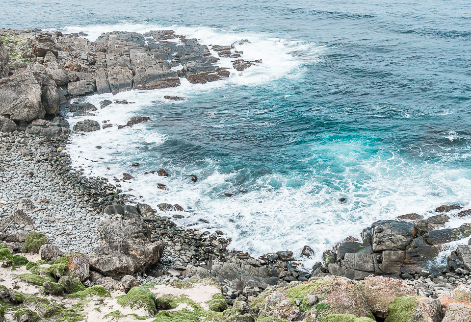 Cape du Couedic Pelzrobben