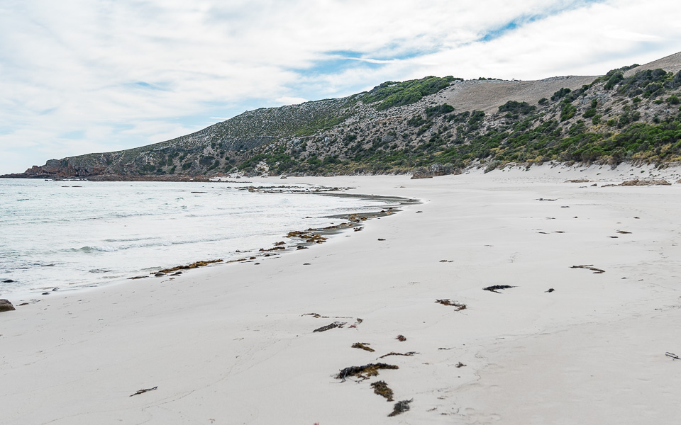 kangaroo-island-stokes-bay-strand