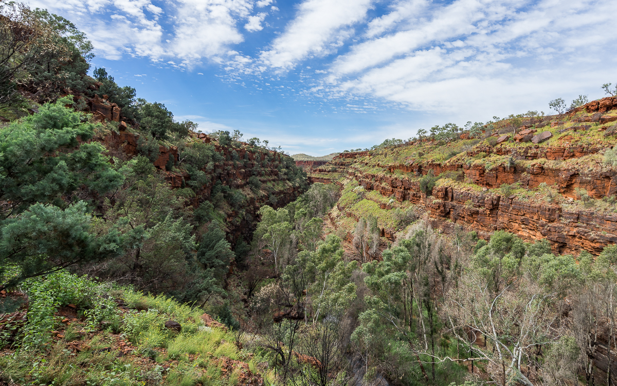 Karijini Nationalpark Dales Gorge
